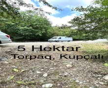 ismayillida torpaq alqi satqisi İsmayıllı ş.