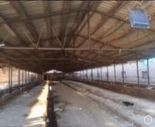 elanlari alqi satqisi elanlari Koroğlu m., Balaxanı qəs., Sabunçu r.