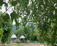 1 otaqli günlük heyet evi kiraye/villa Lənkəran ş. 1 otaqli günlük heyet evi kiraye/villa Lənkəran ş.