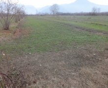 Satılır Torpaq Zaqatala ş.