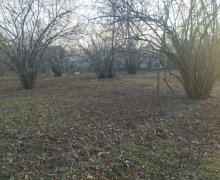 Satılır Torpaq Qəbələ ş.