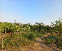 ceyranbatanda torpaq alqi satqisi Ceyranbatan qəs., Abşeron r.