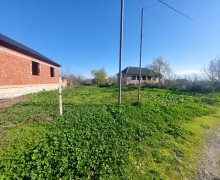 Satılır Torpaq Cəlilabad ş.