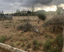 Satılır Torpaq Neftçilər m., Bakıxanov qəs., Sabunçu r.