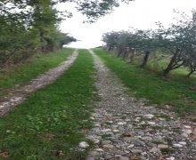 Satılır Torpaq Quba ş. Satılır Torpaq Quba ş.
