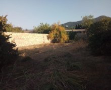 Satılır Torpaq Zaqatala ş.