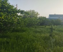 xacmazda torpaq alqi satqisi Xaçmaz ş.