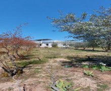 Satılır Həyət evi/villa Novxanı, Abşeron r.