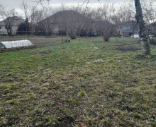 Satılır Torpaq Qəbələ ş.