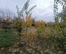 Satılır Torpaq Saray, Abşeron r.