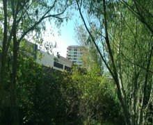 Satılır Torpaq Həzi Aslanov m., H.Aslanov qəs., Xətai r.