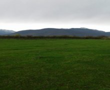 qebelede torpaq alqi satqisi Qəbələ ş.