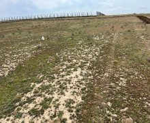 Satılır Torpaq Masazır, Abşeron r.