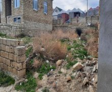 rayonlarda torpaq alqi satqisi Abşeron r.