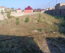 elanlari alqi satqisi elanlari Qurd Qapısı, Səbail r.