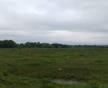 Satılır Torpaq Qəbələ ş.