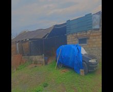 elanlari alqi satqisi elanlari Şəki ş.