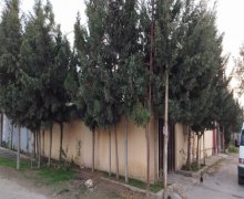 Satılır Həyət evi/villa Koroğlu m., Zabrat qəs., Sabunçu r.