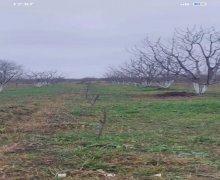 xacmazda torpaq alqi satqisi Xaçmaz ş.