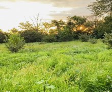 Satılır Torpaq Qəbələ ş.