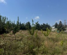 Satılır Torpaq Şağan, Xəzər r. Satılır Torpaq Şağan, Xəzər r.