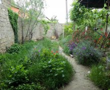 Kirayə (aylıq) Həyət evi/villa Hövsan qəs., Suraxanı r.