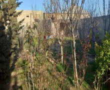 Kirayə (aylıq) Bağ evi Azadlıq m., Pirşağı qəs., Sabunçu r. Kirayə (aylıq) Bağ evi Azadlıq m., Pirşağı qəs., Sabunçu r.