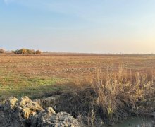 elanlari alqi satqisi elanlari Kürdəmir ş.