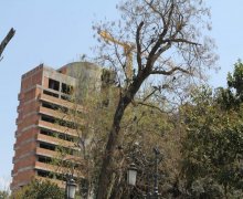 Satılır Yeni Tikili 28 May m., Nəsimi r.