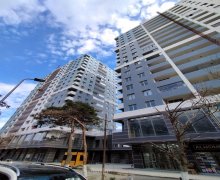 badamdar bina evleri Badamdar qəs., Səbail r.