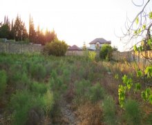 novxanida torpaq satilir Novxanı, Abşeron r.