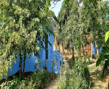 Kirayə (günlük) Həyət evi/villa Qəbələ ş.