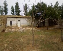 novxanida torpaq satilir Novxanı, Abşeron r.