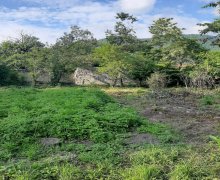 qebelede torpaq alqi satqisi Qəbələ ş.