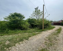 ismayillida torpaq alqi satqisi İsmayıllı ş.