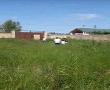 elanlari alqi satqisi elanlari Nardaran qəs., Sabunçu r.