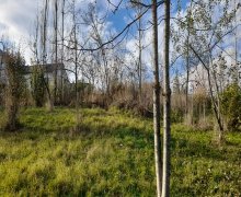 Satılır Torpaq Qusar ş.