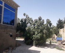 Satılır Bağ evi Novxanı, Abşeron r.