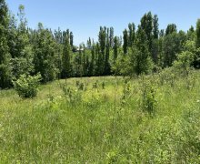 Satılır Torpaq Qusar ş.