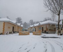 1 otaqli günlük heyet evi kiraye/villa Qəbələ ş.