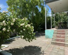 Kirayə (günlük) Həyət evi/villa Xaçmaz / Nabran ş.