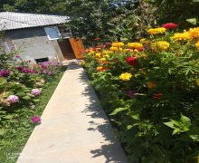 gunluk bag günlük evleri Qəbələ ş. gunluk bag günlük evleri Qəbələ ş.