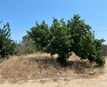 Satılır Torpaq Mərdəkan, Xəzər r.