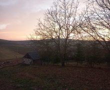 elanlari alqi satqisi elanlari Şamaxı ş.