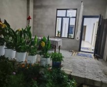 Kirayə (günlük) Bağ evi Qusar ş.