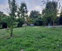 Satılır Torpaq Qəbələ ş.