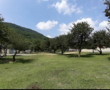 ismayillida torpaq alqi satqisi İsmayıllı ş.