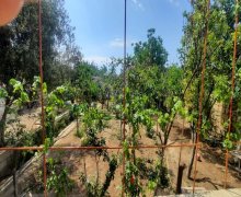 Satılır Həyət evi/villa Novxanı, Abşeron r.