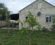 Kirayə (günlük) Həyət evi/villa Qusar ş.