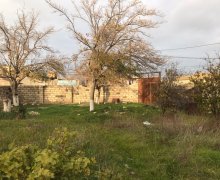 rayonlarda torpaq alqi satqisi Fatmayi, Abşeron r.